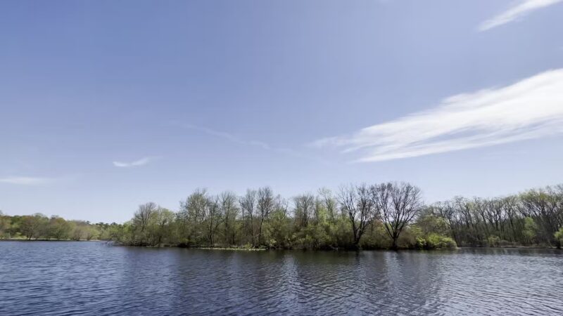 Turkey Swamp Park - Freehold Township, NJ