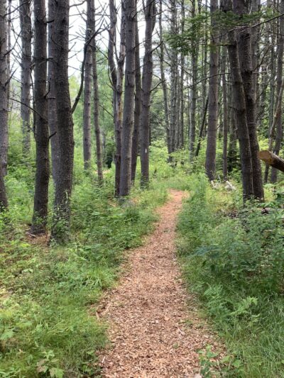 Brewer Woods - Freeport, ME