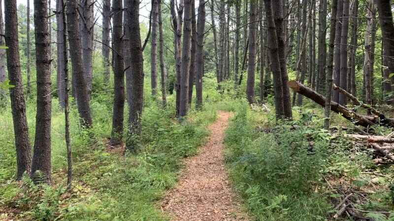 Brewer Woods - Freeport, ME