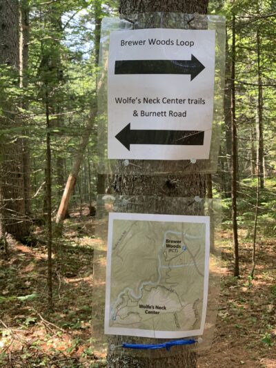 Brewer Woods - Freeport, ME