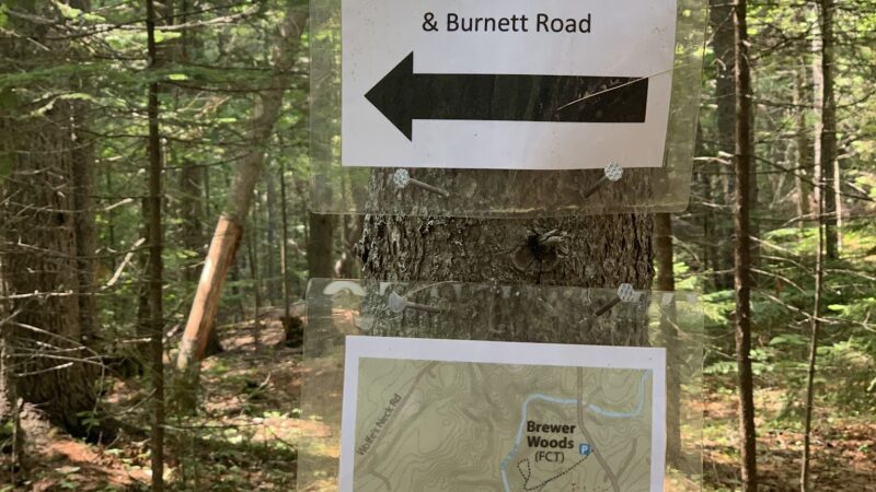 Brewer Woods - Freeport, ME
