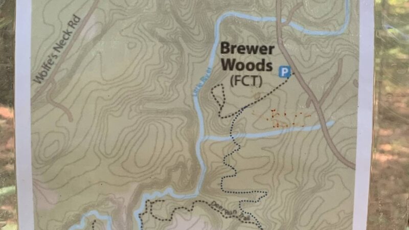 Brewer Woods - Freeport, ME