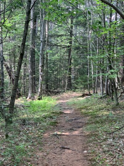 Brewer Woods - Freeport, ME