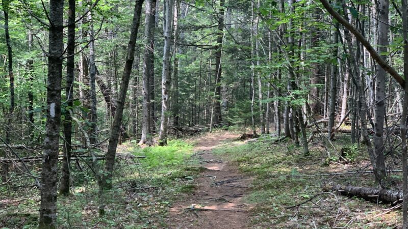 Brewer Woods - Freeport, ME
