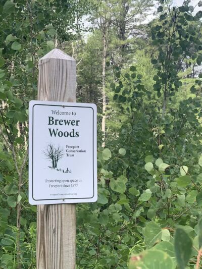 Brewer Woods - Freeport, ME