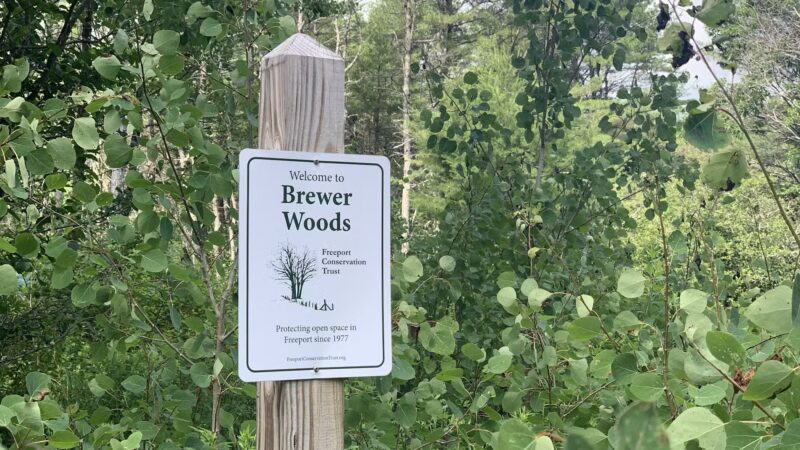 Brewer Woods - Freeport, ME