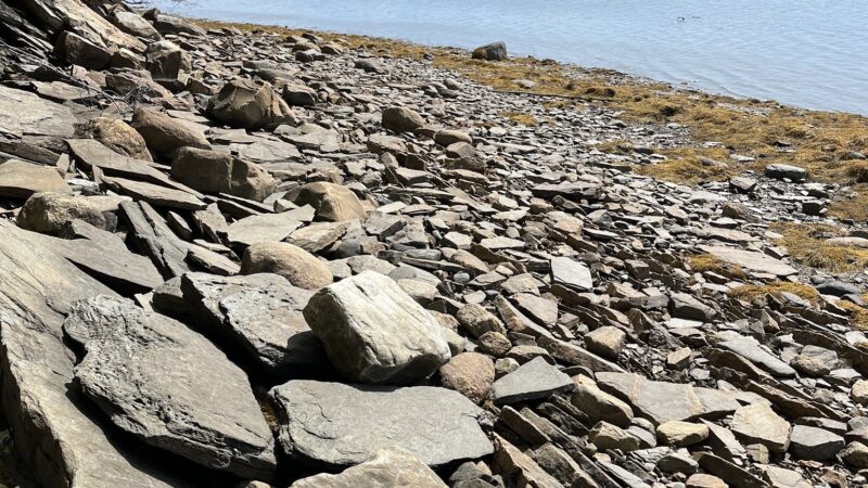 Calderwood Trails Trailhead - Freeport Conservation Trust - Freeport, ME