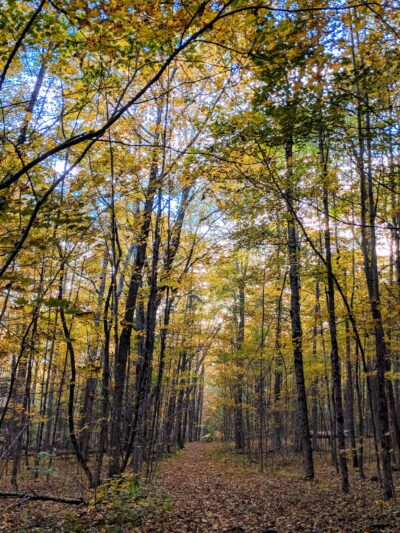 Hedgehog Mountain Trail Head - Freeport, ME