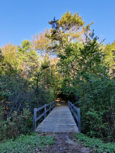 Leon Gorman Park - Freeport, ME