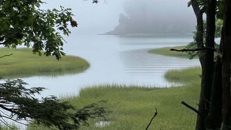 Powell Point Preserve - Freeport, ME