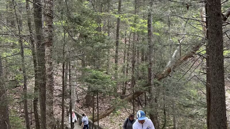 Powell Point Preserve - Freeport, ME
