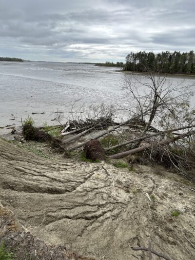 Powell Point Preserve - Freeport, ME