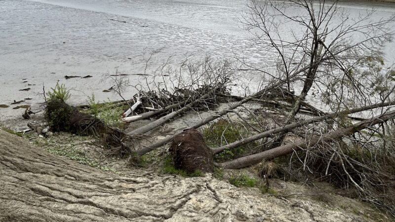 Powell Point Preserve - Freeport, ME