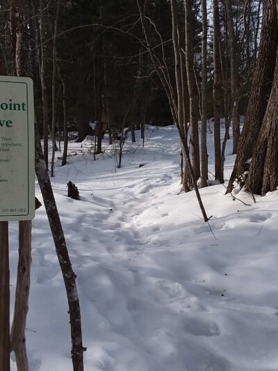 Powell Point Preserve - Freeport, ME