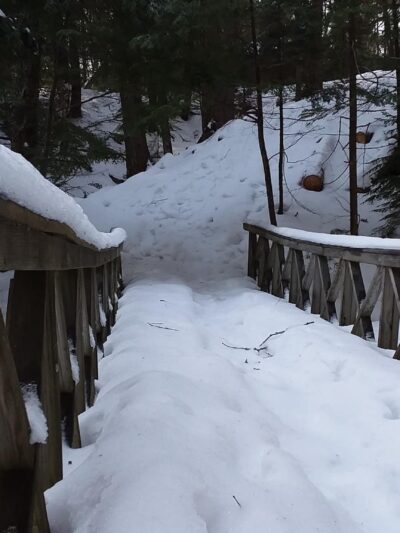 Powell Point Preserve - Freeport, ME