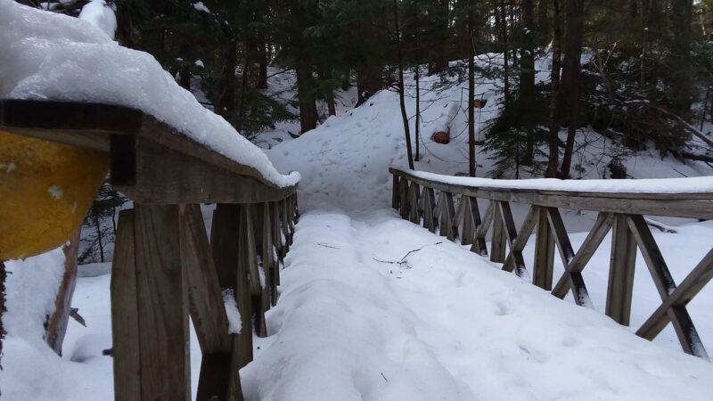 Powell Point Preserve - Freeport, ME