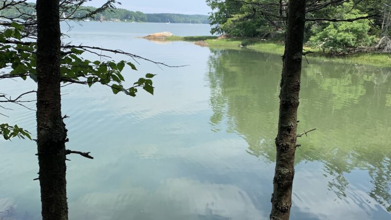 Rachel’s Cove - Freeport, ME