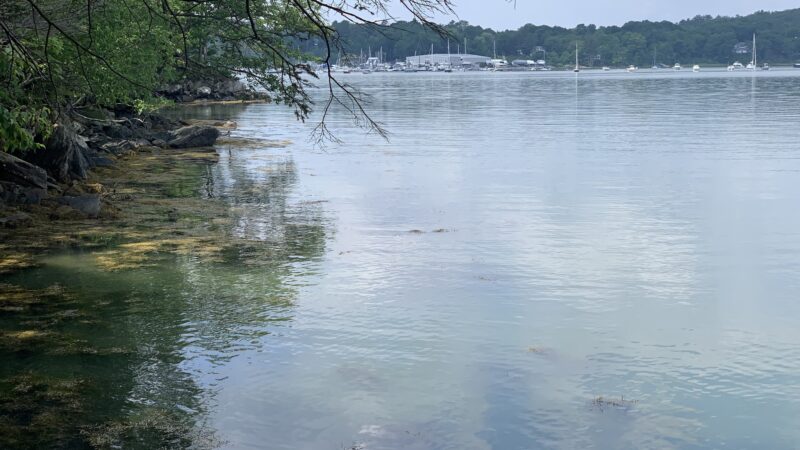 Rachel’s Cove - Freeport, ME