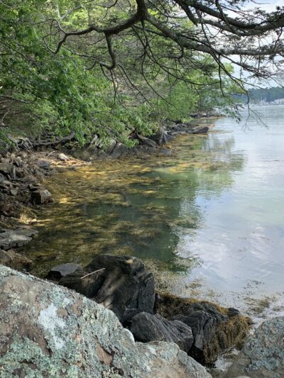 Rachel’s Cove - Freeport, ME