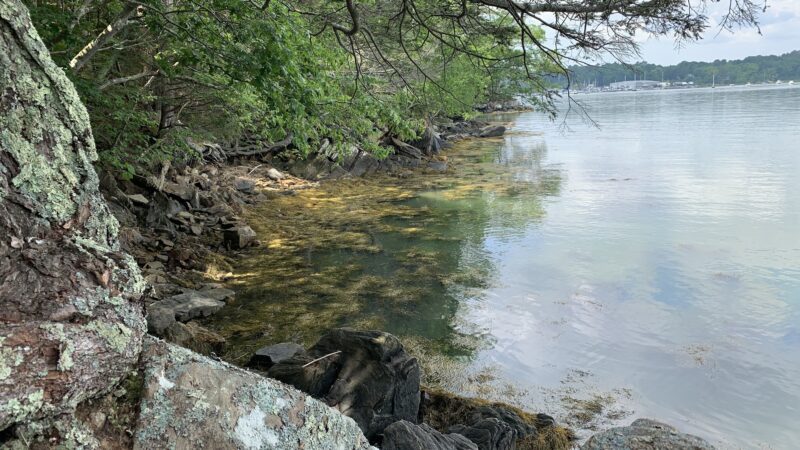 Rachel’s Cove - Freeport, ME