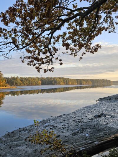 Tidebrook Preserve - Freeport, ME