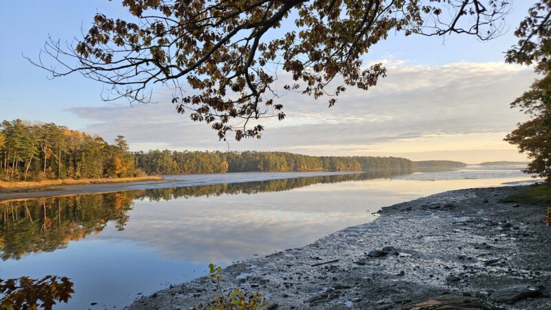 Tidebrook Preserve - Freeport, ME
