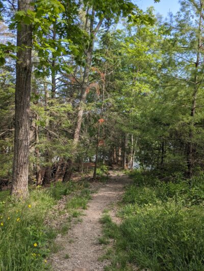 Tidebrook Preserve - Freeport, ME