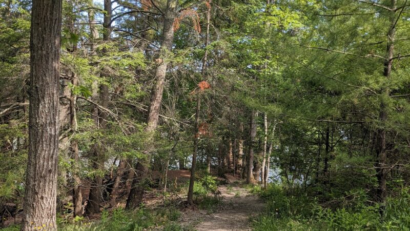 Tidebrook Preserve - Freeport, ME