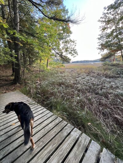 Tidebrook Preserve - Freeport, ME