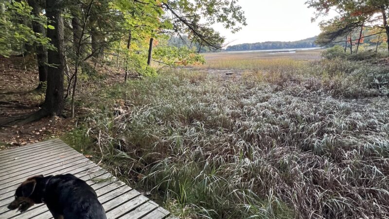 Tidebrook Preserve - Freeport, ME