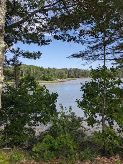 Tidebrook Preserve - Freeport, ME