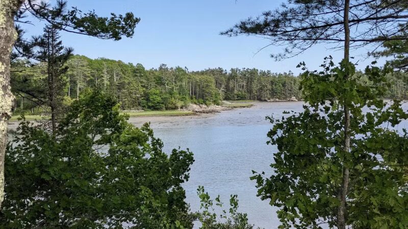 Tidebrook Preserve - Freeport, ME