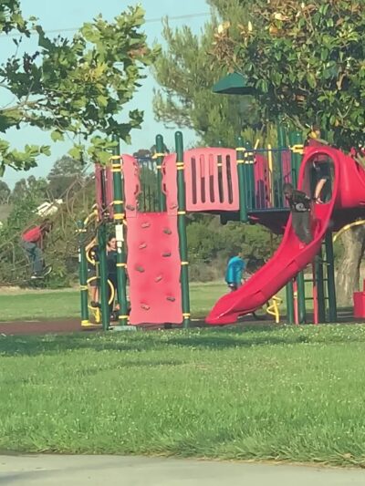 Karl Nordvik Park - Fremont, CA