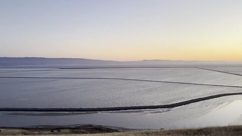 Apay Way Trail - Fremont, CA