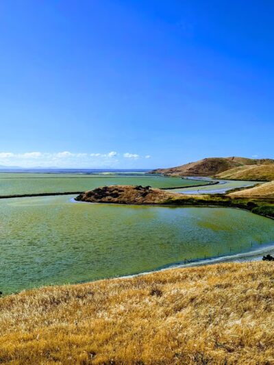 Apay Way Trail - Fremont, CA