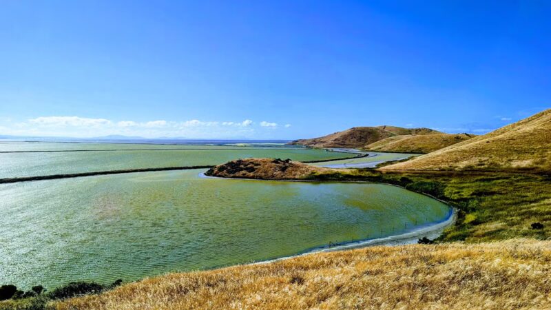 Apay Way Trail - Fremont, CA