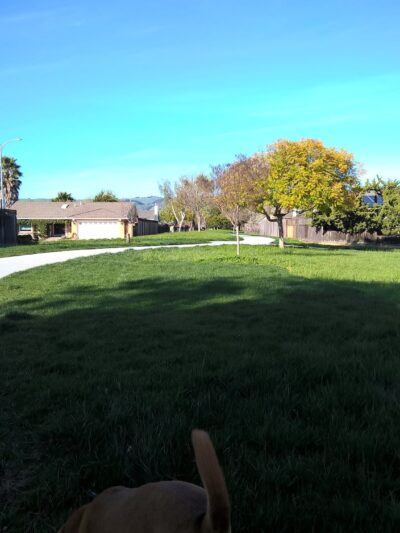 Brookvale Trail Park - Fremont, CA