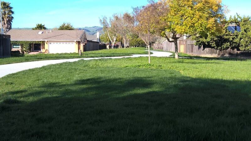Brookvale Trail Park - Fremont, CA