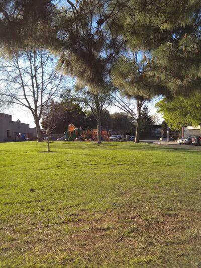 Brookvale Trail Park - Fremont, CA