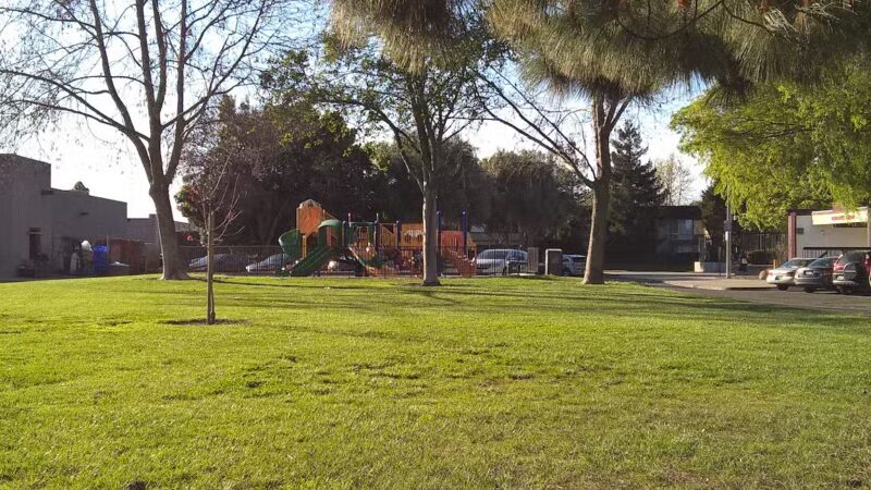 Brookvale Trail Park - Fremont, CA