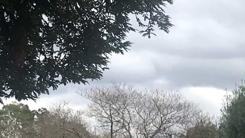 Cabrillo Trail Park - Fremont, CA