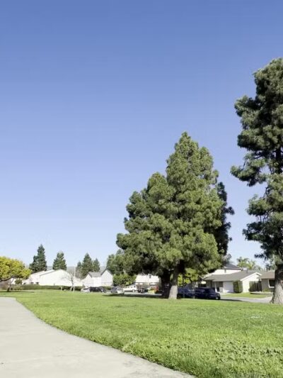 Cabrillo Trail Park - Fremont, CA