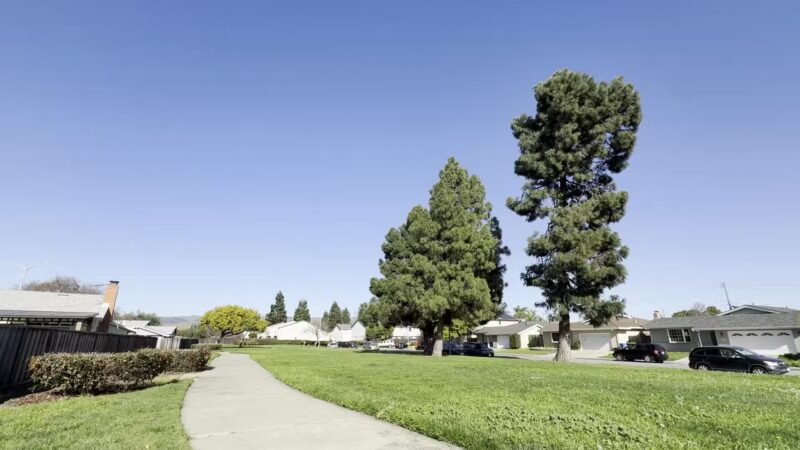 Cabrillo Trail Park - Fremont, CA