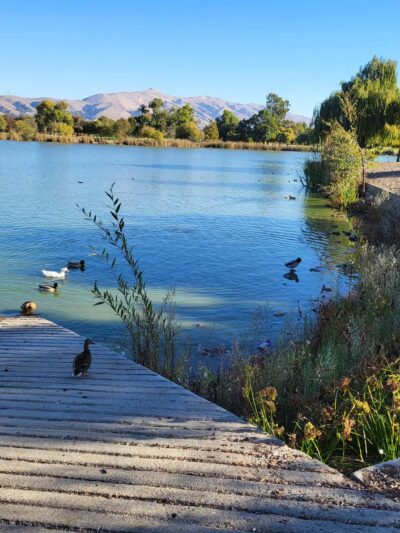 Central Park - Fremont, CA