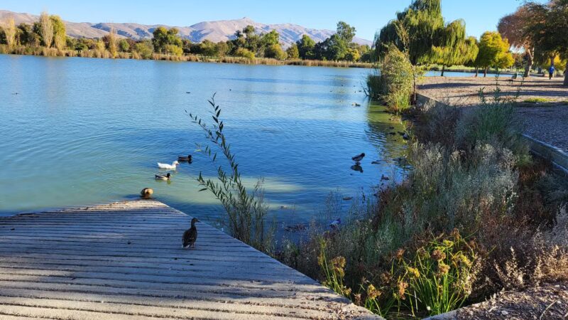 Central Park - Fremont, CA