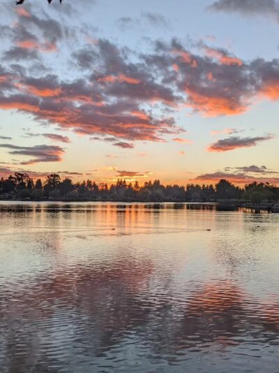 Central Park - Fremont, CA