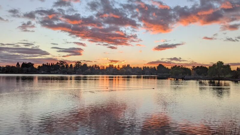 Central Park - Fremont, CA