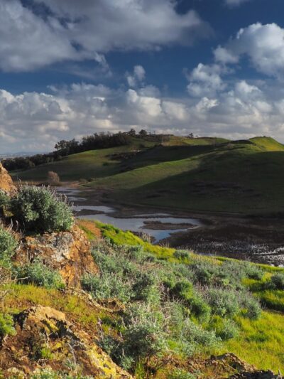 Coyote Hills Regional Park - Fremont, CA