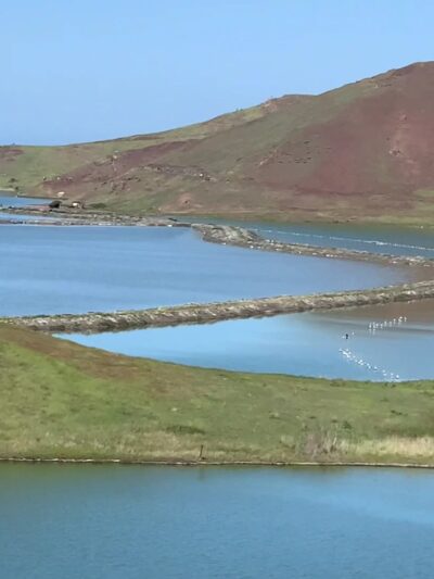 Coyote Hills Regional Park - Fremont, CA