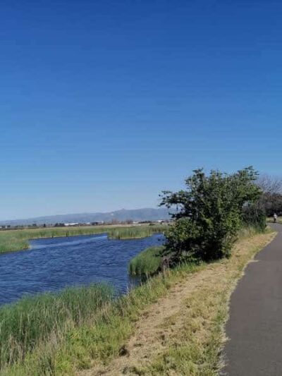 Coyote Hills Regional Park - Fremont, CA